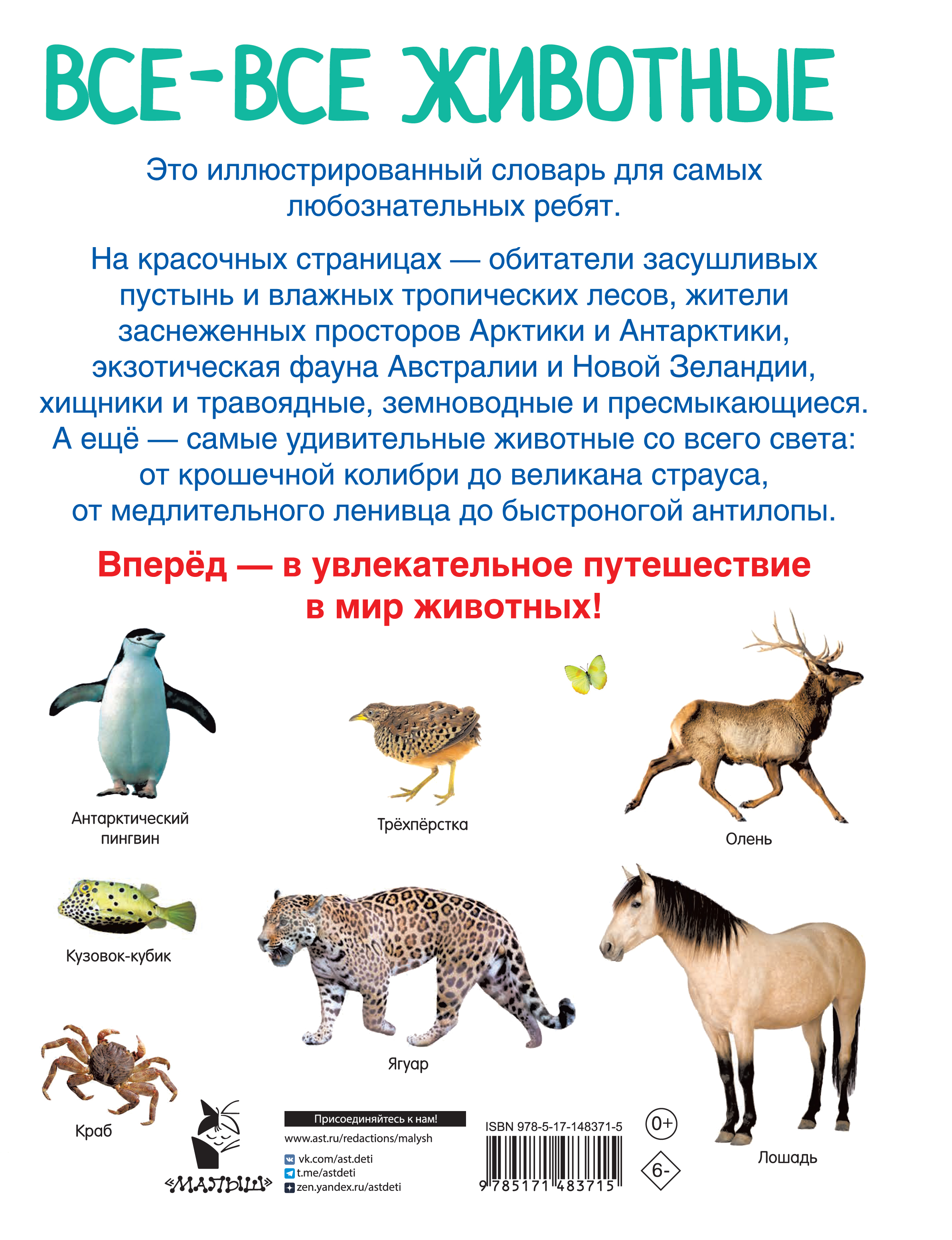 «Все-все животные» — это красочно иллюстрированный словарь для детей. На его страницах малышей ждёт встреча с животными со всего света: обитателями тропиков, океанов и рек, представителями фауны тайги и тундры, существами ползающими, прыгающими, плавающими и летающими. Книга поможет ребёнку сделать первые шаги в изучении фауны нашей планеты, узнать названия животных, расширить кругозор. Для дошкольного возраста.